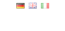 multilingual homepage - Multilingual websites - Display of Flags